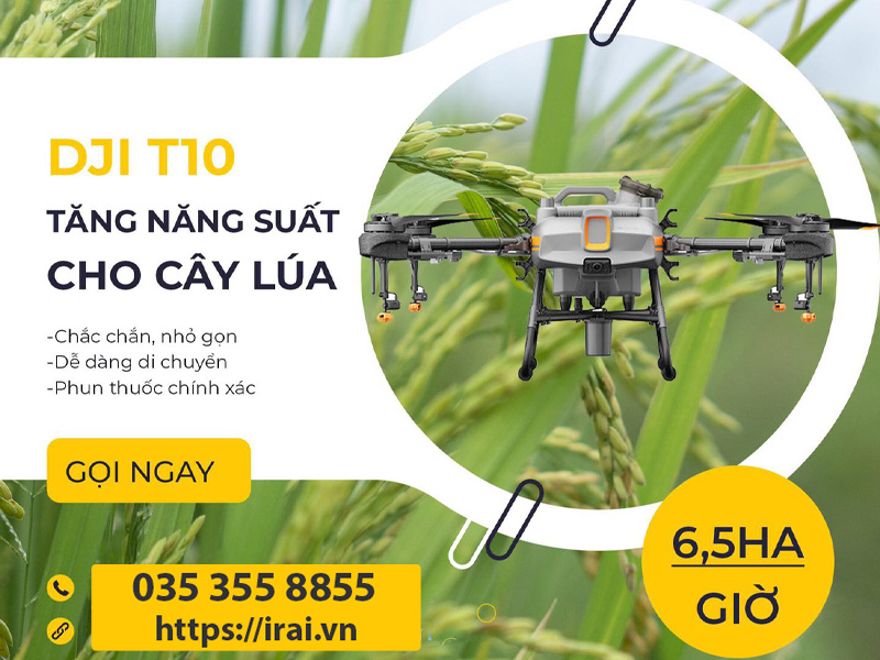 máy bay phun thuốc DJI Agras T10 cho cây lúa