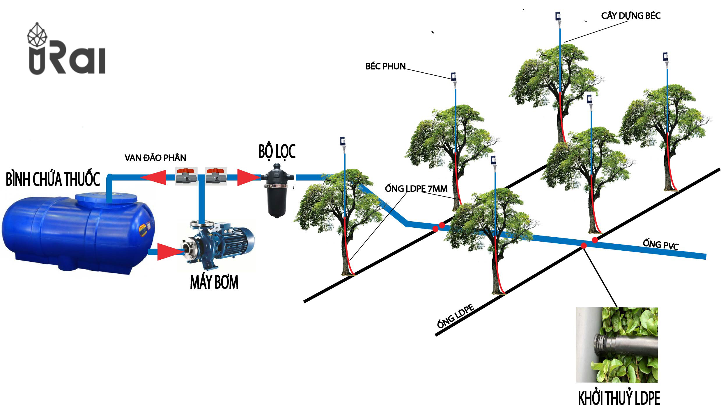 Hệ thống phun thuốc tự động cho cây sầu riêng